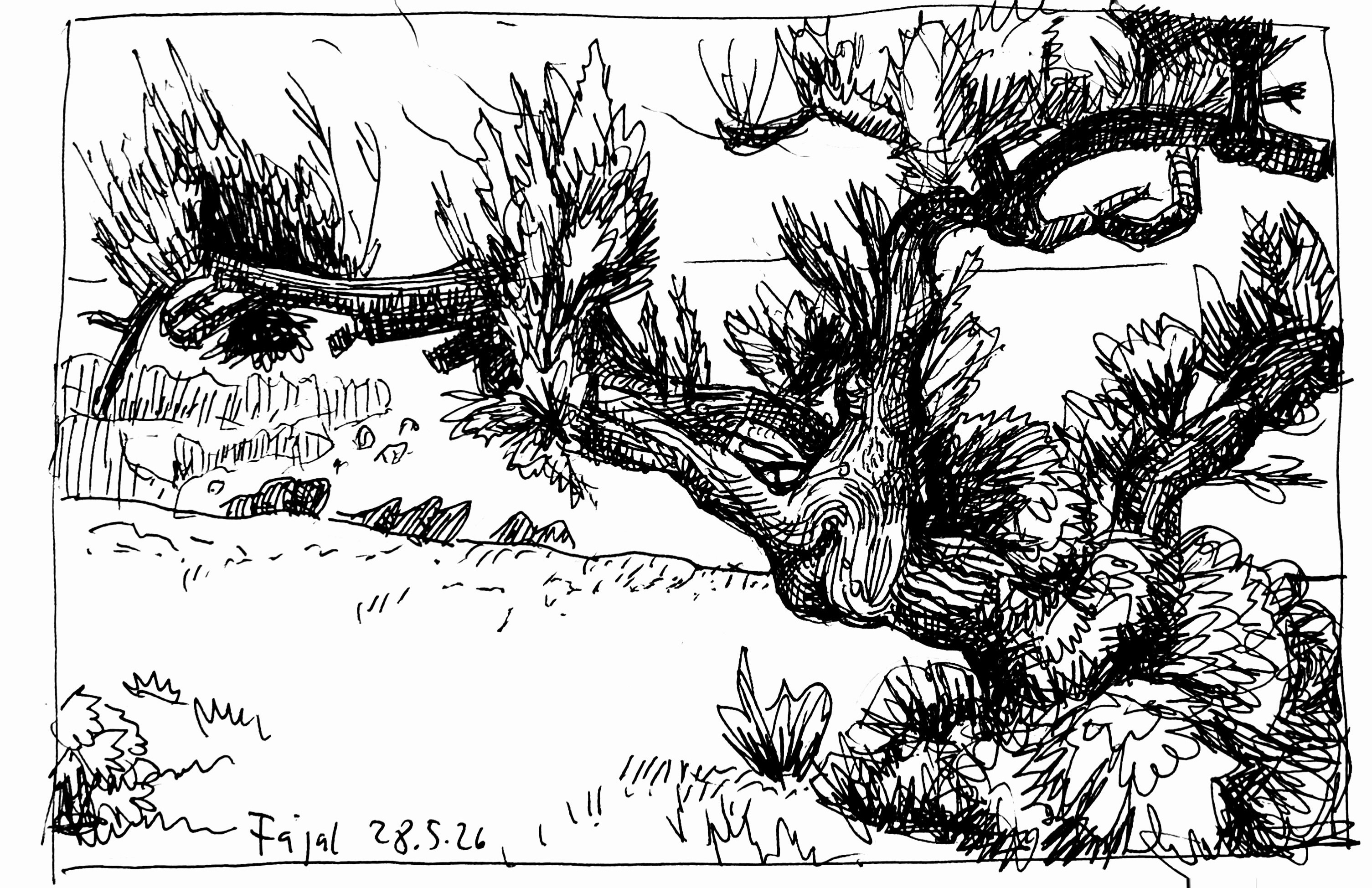 Ankunft auf Fajal