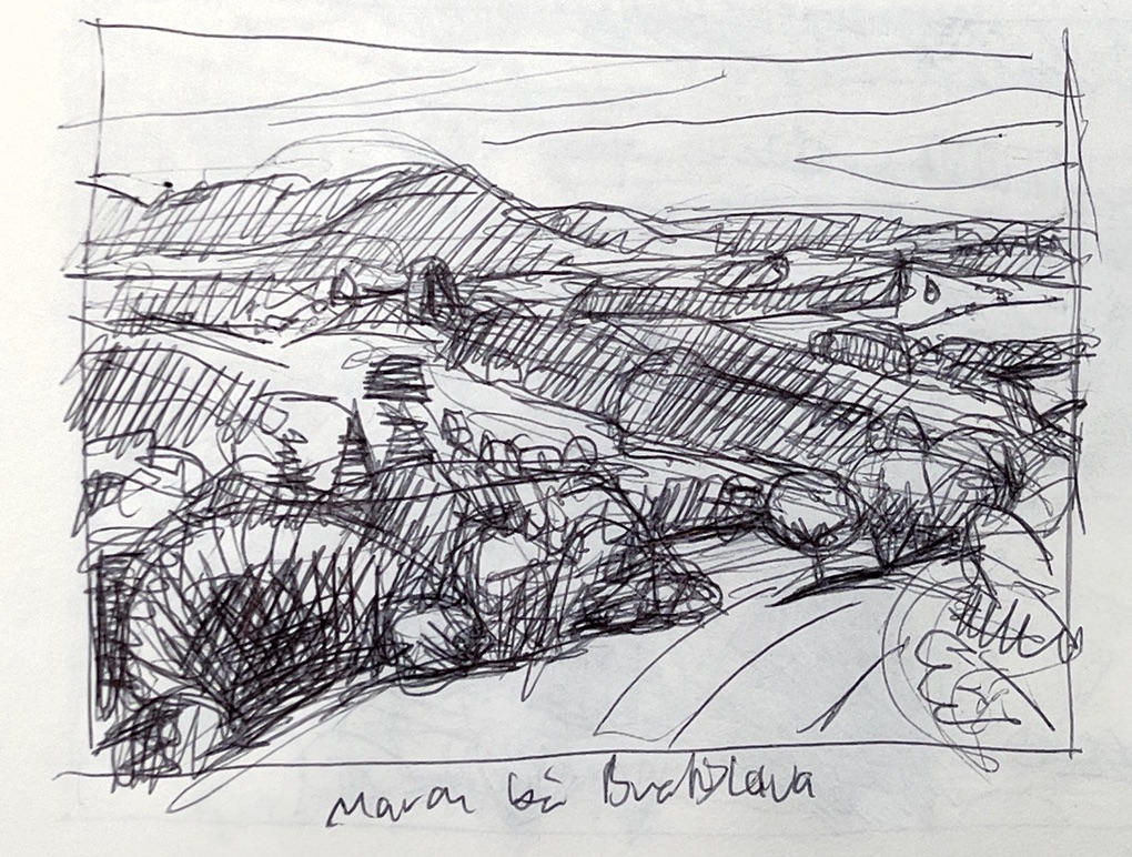 Die March bei Bratislava