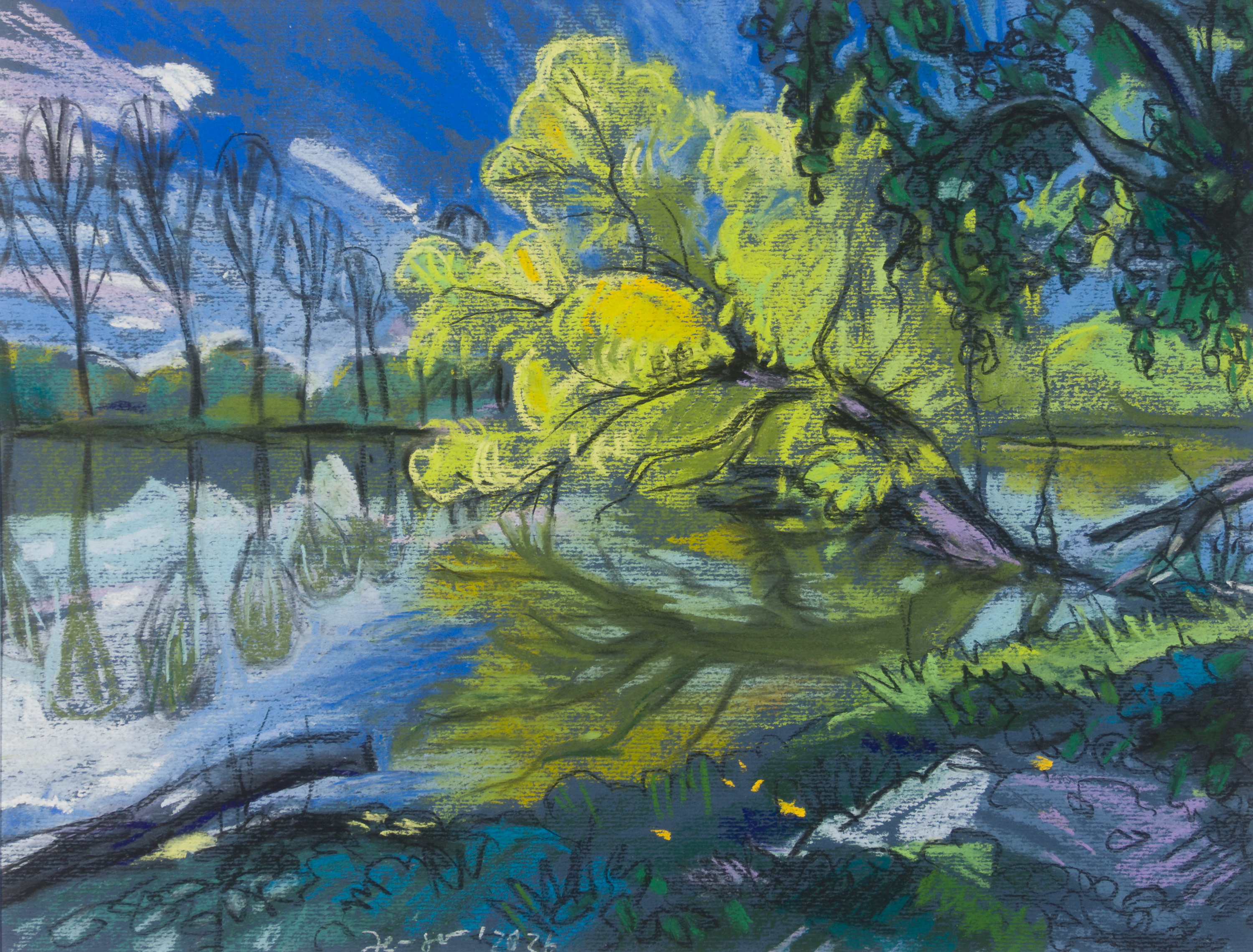 Frühling in der Donauaue