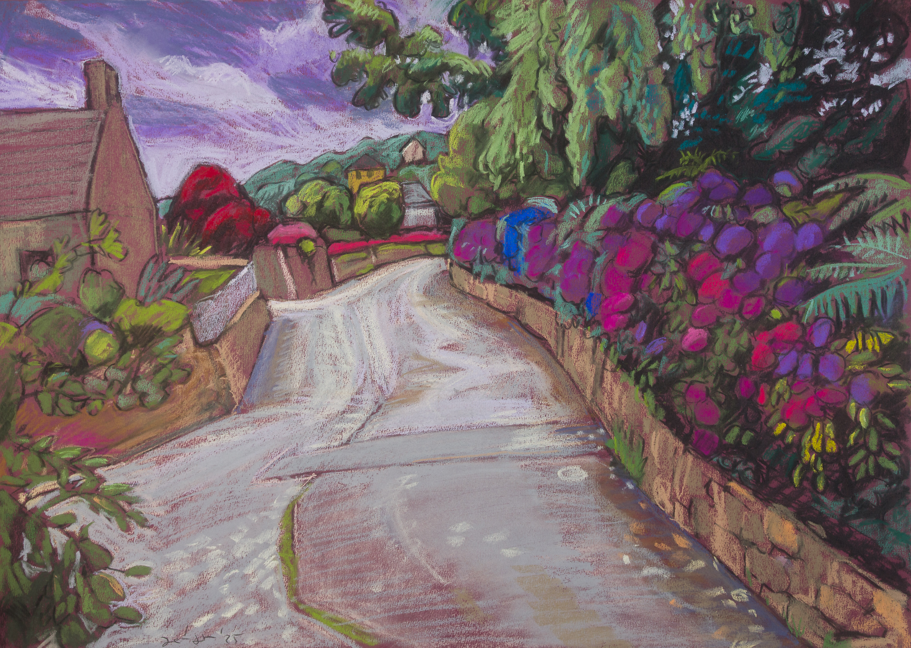 Normandie - Hortensien in Omonville