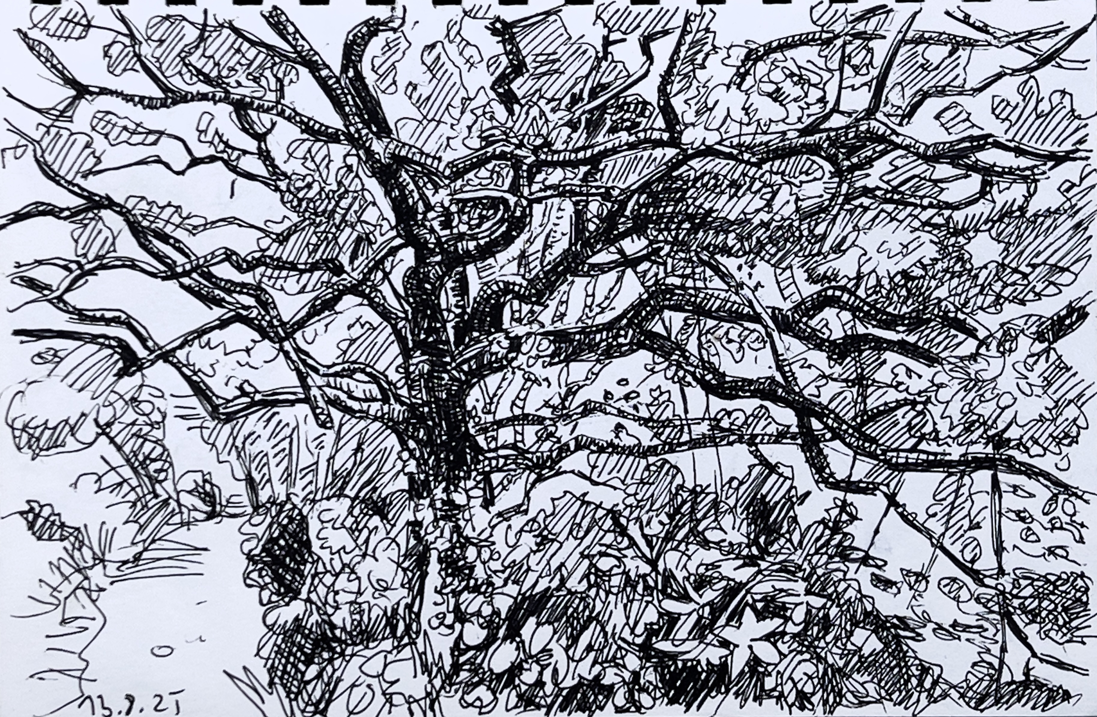 Normandie - Waldweg bei Saint-Germain-des-Vaux