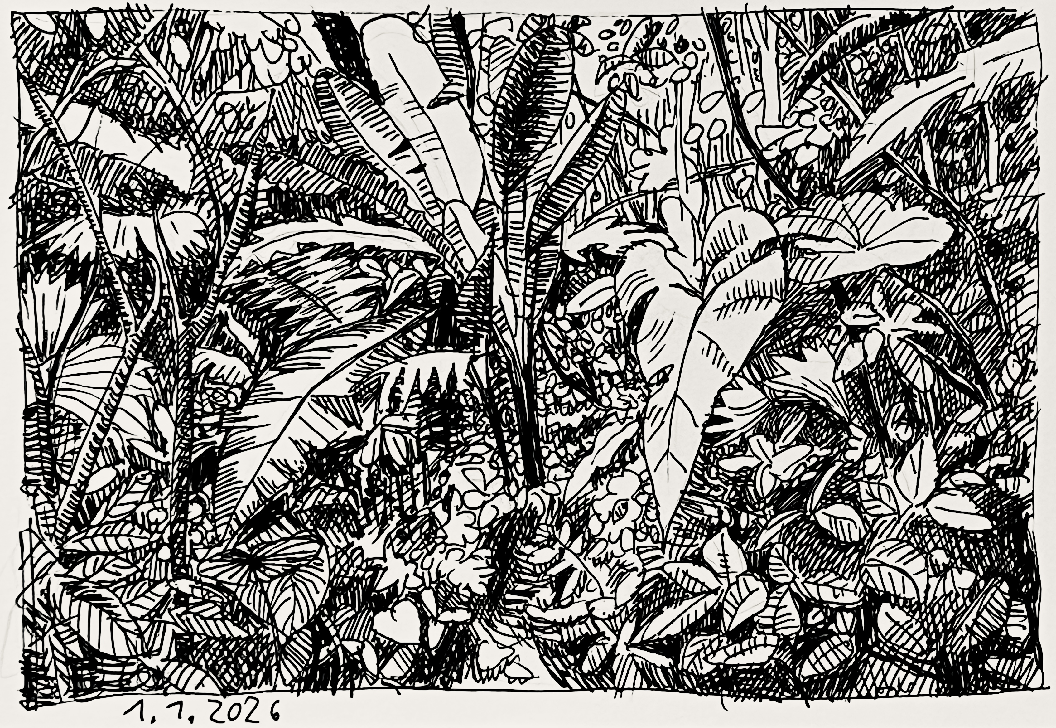 Regenwald Costa Rica