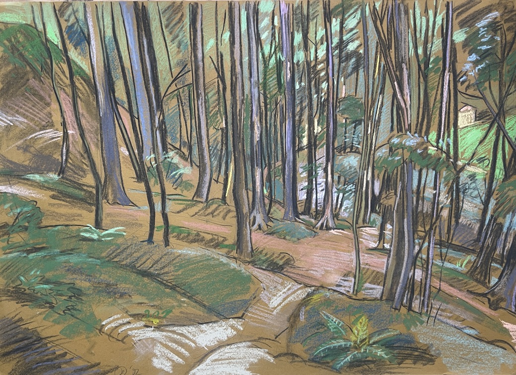 Wald im Adlergebirge