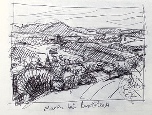 Die March bei Bratislava