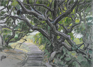 Normandie - Küstenweg bei Gruchy