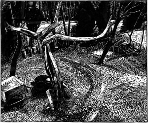 Spreewaldgarten mit altem Apfelbaum